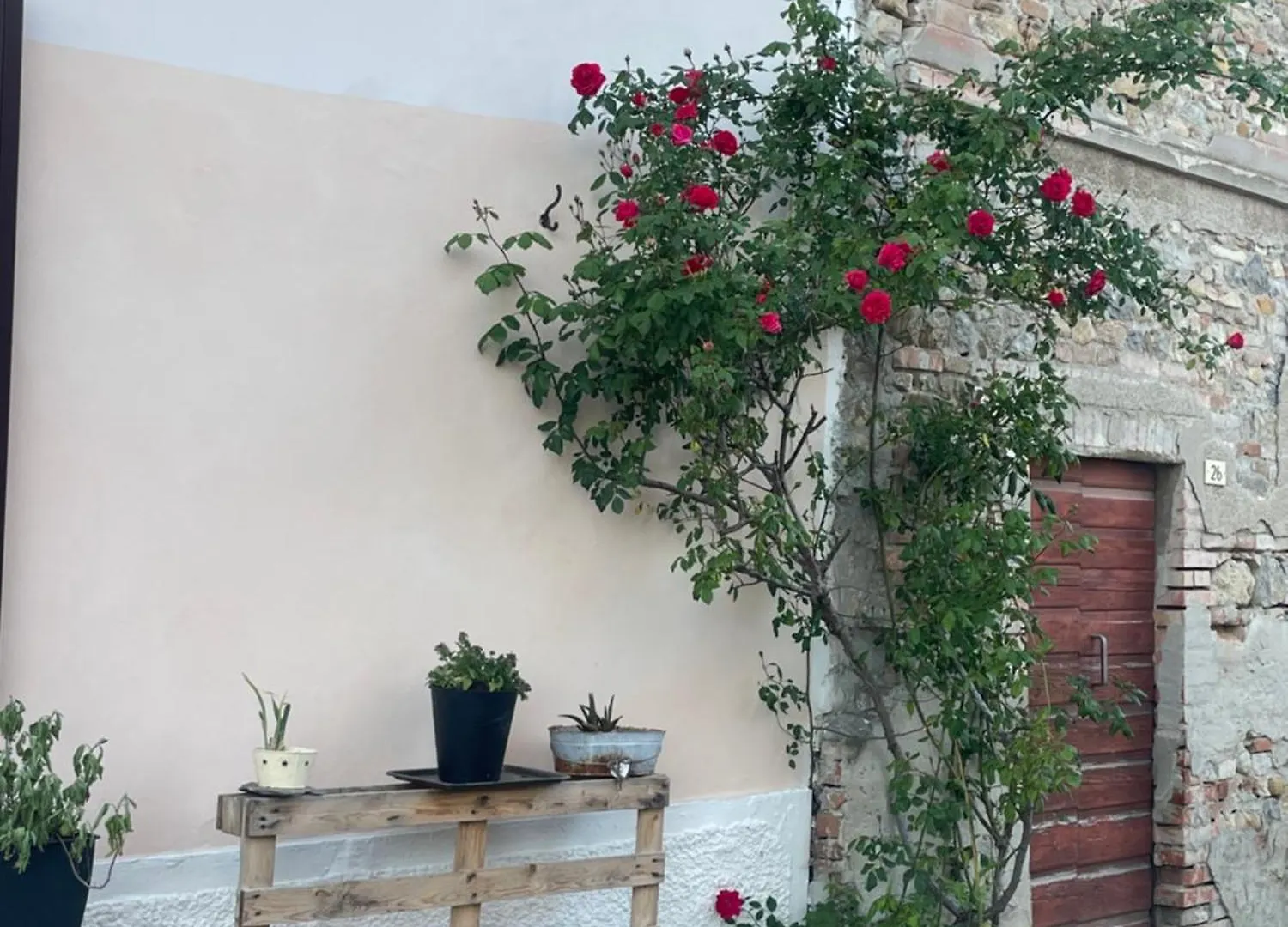 Old School Bacedasco B&B Vernasca Italy